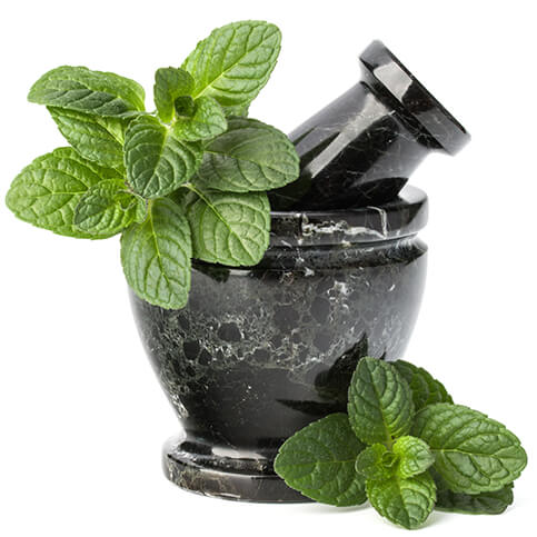 Aromatherapy Essentials